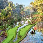 Safety In Bali: What To Know