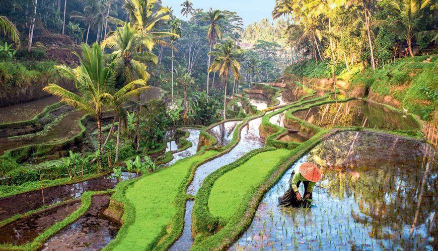 Safety In Bali: What To Know